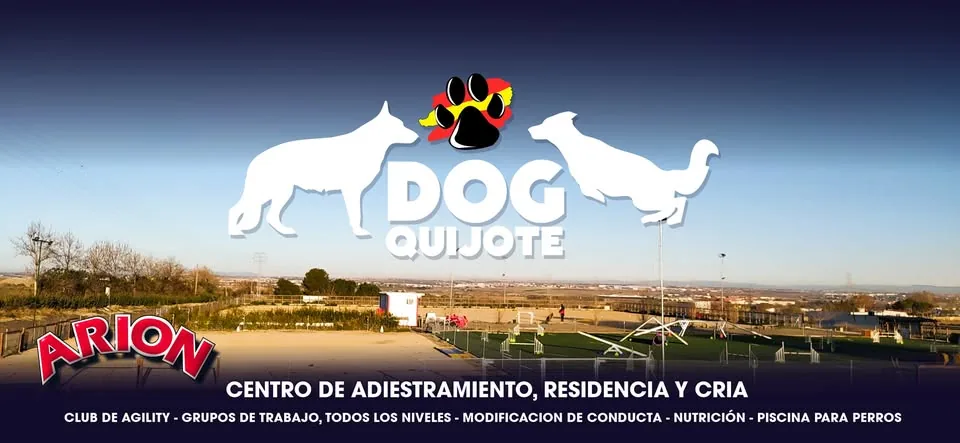 Vista del terreno del Centro Canino DogQuijote en Esquivias, con sus instalaciones al fondo